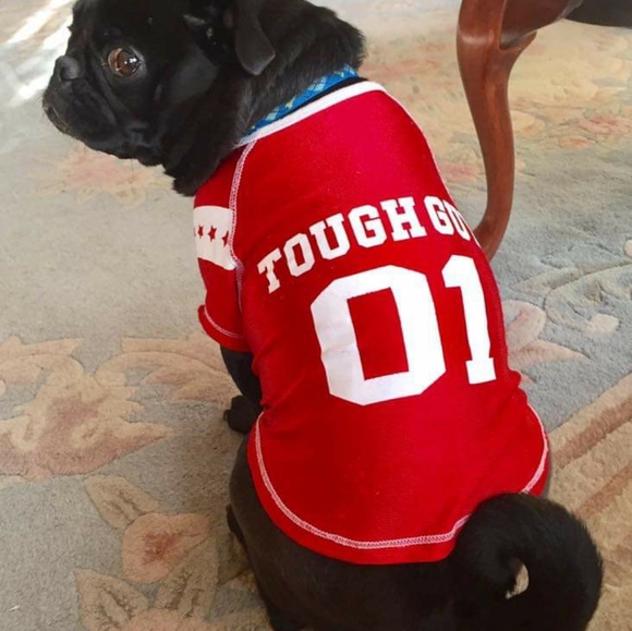 Meet your Posher, Patricia - Picture 5 of 6